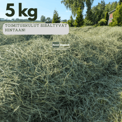 Heinää 5 kiloa noutopisteeseen