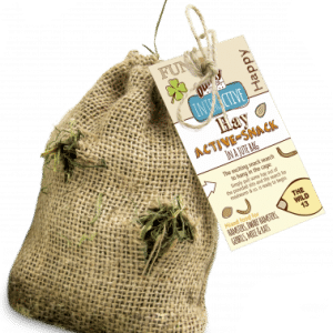 Bunny hay active-snack the wild 30g