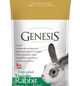 Genesis rabbit timothy