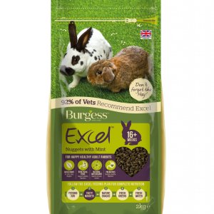 Burgess Excel Rabbit