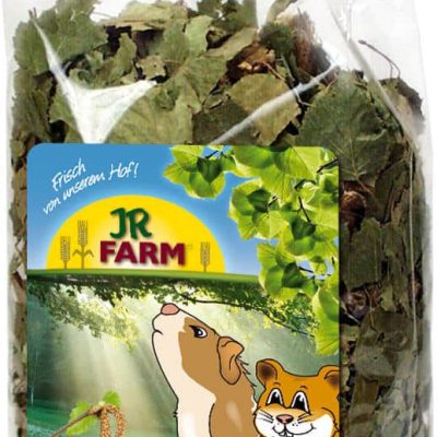 jr forest secret