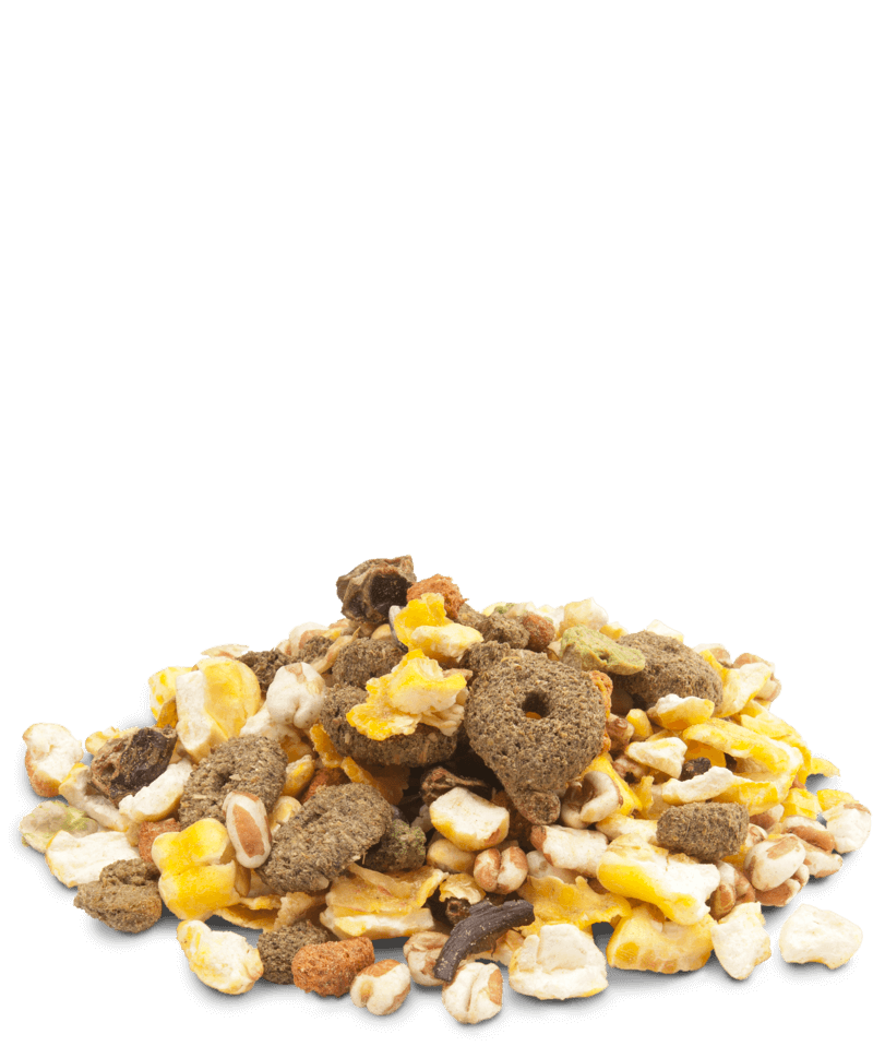 Versele-Laga cripy snack popcorn 650g