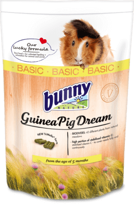 Bunny GuineaPig Dream Basic