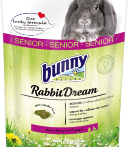 Bunny Rabbit Dream Senior