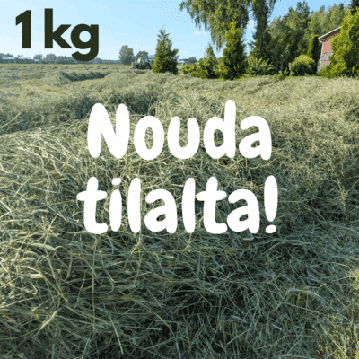 Nouda tilalta heinää