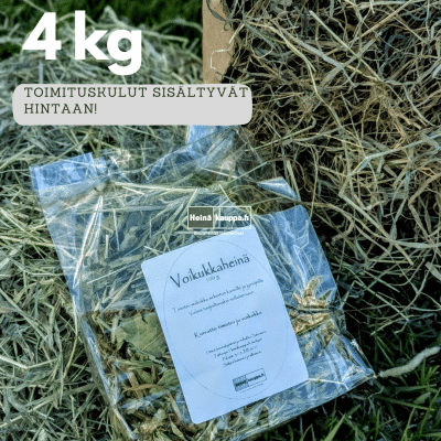Marsun heinäunelma