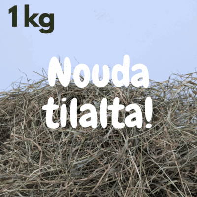 Nouda tilalta odelma